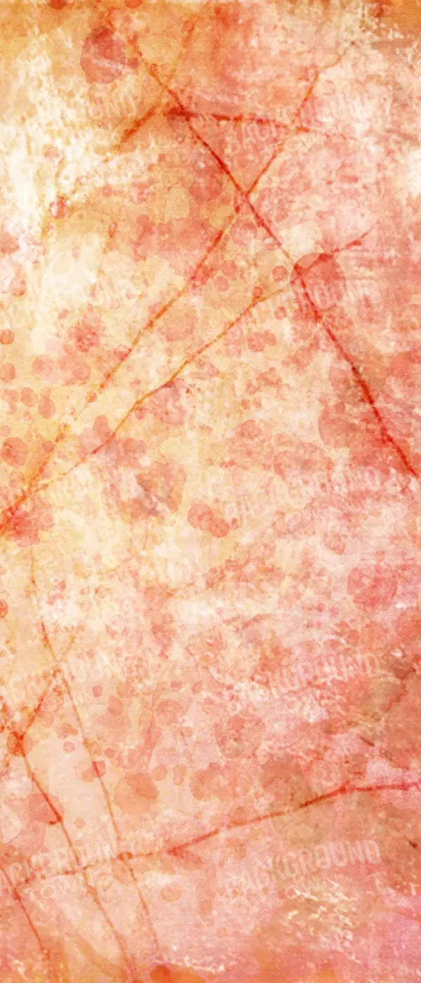 Claire 5X12 Ultracloth For Westcott X-Drop ( 60 X 144 Inch ) Backdrop