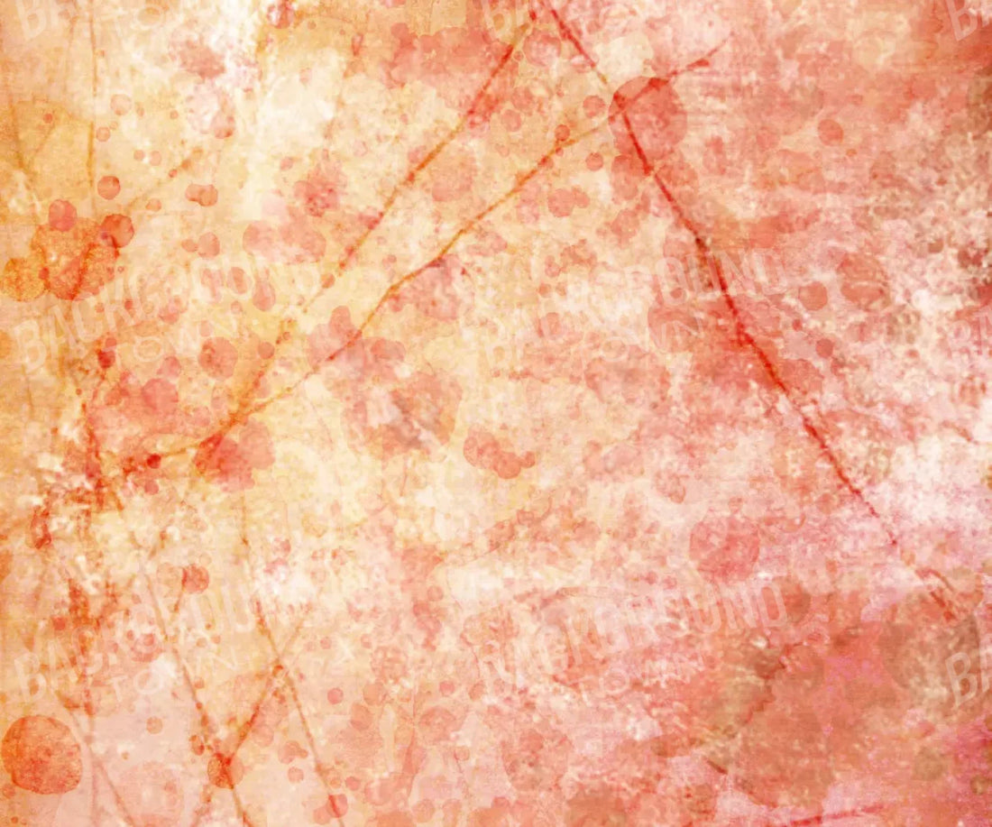 Claire 5X42 Fleece ( 60 X 50 Inch ) Backdrop