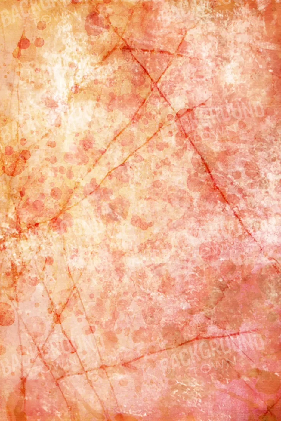 Claire 5X8 Ultracloth ( 60 X 96 Inch ) Backdrop