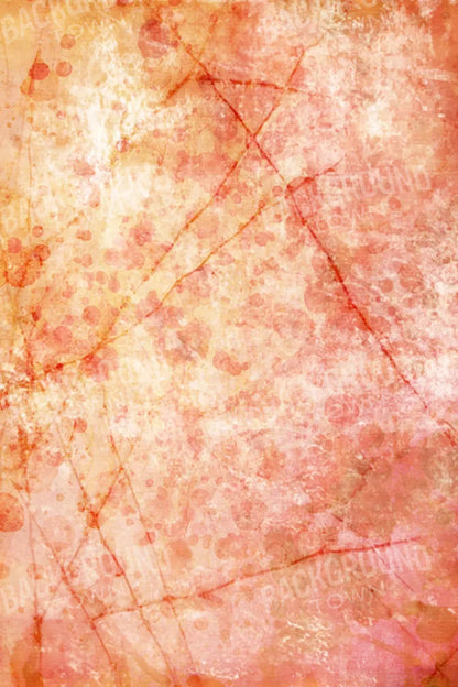 Claire 5X8 Ultracloth ( 60 X 96 Inch ) Backdrop