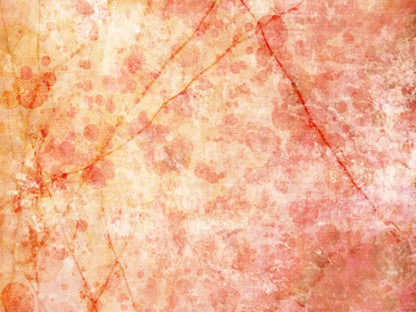 Claire 68X5 Fleece ( 80 X 60 Inch ) Backdrop