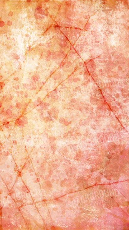 Claire 8X14 Ultracloth ( 96 X 168 Inch ) Backdrop