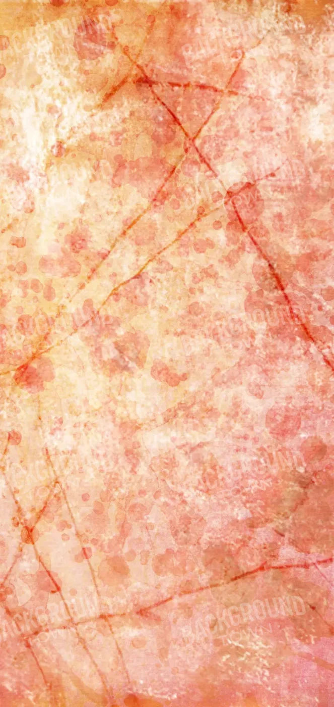 Claire 8X16 Ultracloth ( 96 X 192 Inch ) Backdrop