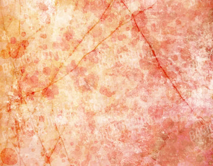 Claire 8X6 Fleece ( 96 X 72 Inch ) Backdrop