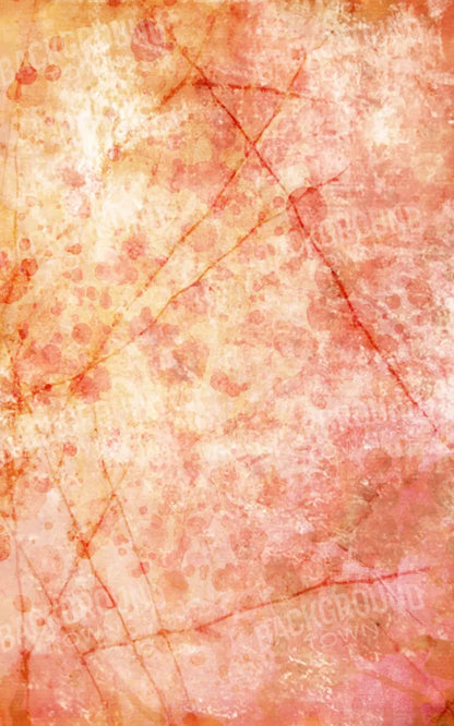 Claire 9X14 Ultracloth ( 108 X 168 Inch ) Backdrop