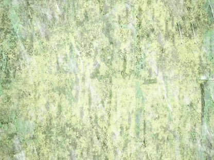 Clark 10X8 Fleece ( 120 X 96 Inch ) Backdrop
