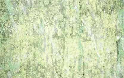 Clark 16X10 Ultracloth ( 192 X 120 Inch ) Backdrop