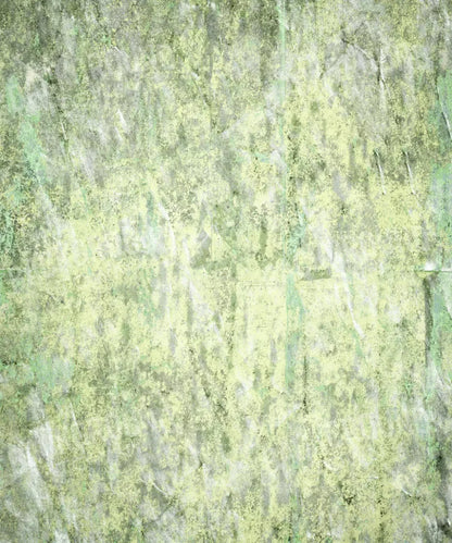 Green Urban Grunge Backdrop for Photography