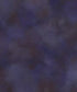 Purple Classic and Masters Backdrop for Photography