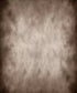 Beige Classic and Masters Backdrop for Photography