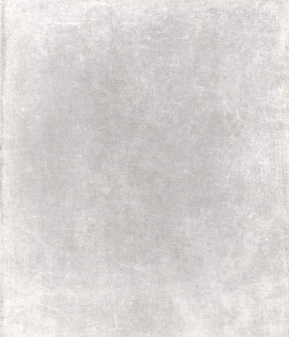 Classic Texture Light Warm Gray 10X12 Ultracloth ( 120 X 144 Inch ) Backdrop