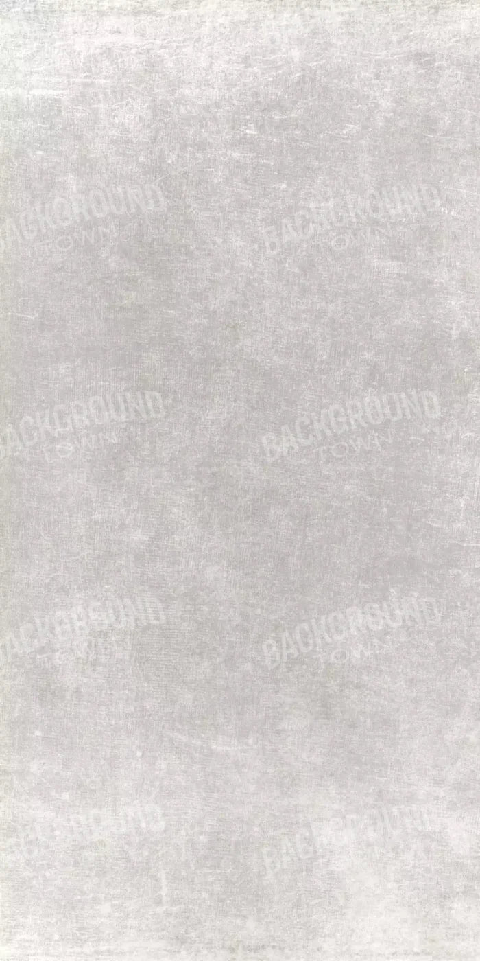 Classic Texture Light Warm Gray 10X20 Ultracloth ( 120 X 240 Inch ) Backdrop