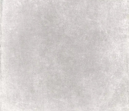 Classic Texture Light Warm Gray 12X10 Ultracloth ( 144 X 120 Inch ) Backdrop