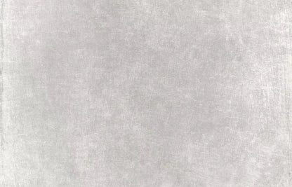 Classic Texture Light Warm Gray 12X8 Ultracloth ( 144 X 96 Inch ) Backdrop