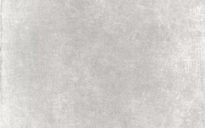 Classic Texture Light Warm Gray 14X9 Ultracloth ( 168 X 108 Inch ) Backdrop