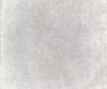 Classic Texture Light Warm Gray 5X42 Fleece ( 60 X 50 Inch ) Backdrop