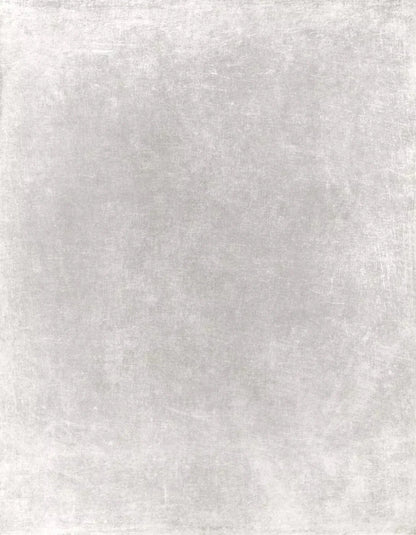 Classic Texture Light Warm Gray 6X8 Fleece ( 72 X 96 Inch ) Backdrop