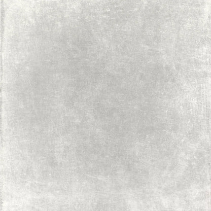 Classic Texture Light Warm Gray Backdrop