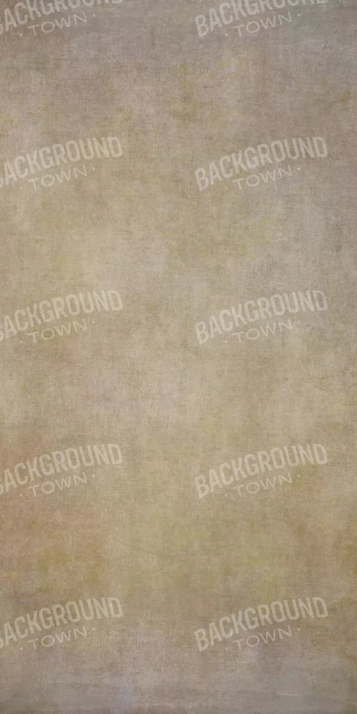 Classic Texture Soft Brown 10X20 Ultracloth ( 120 X 240 Inch ) Backdrop