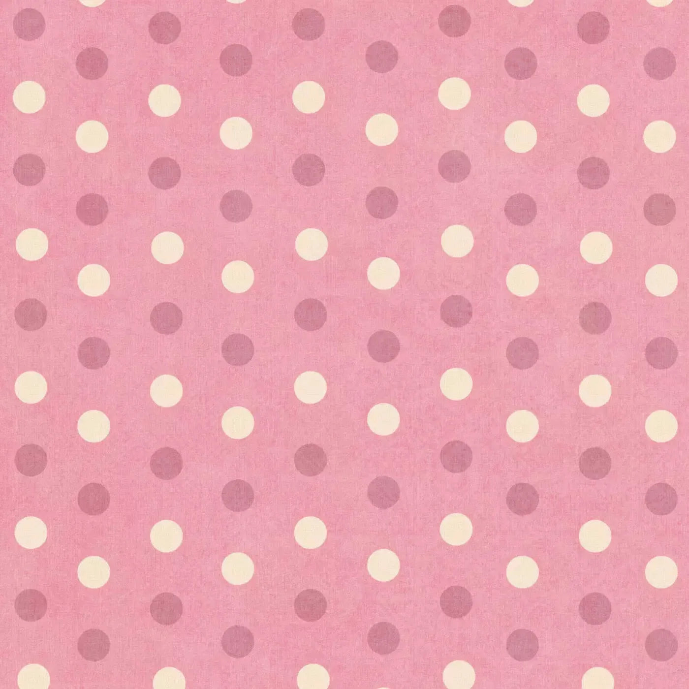 Claudia Backdrop