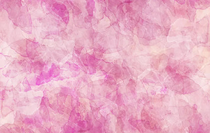 Clever 16X10 Ultracloth ( 192 X 120 Inch ) Backdrop
