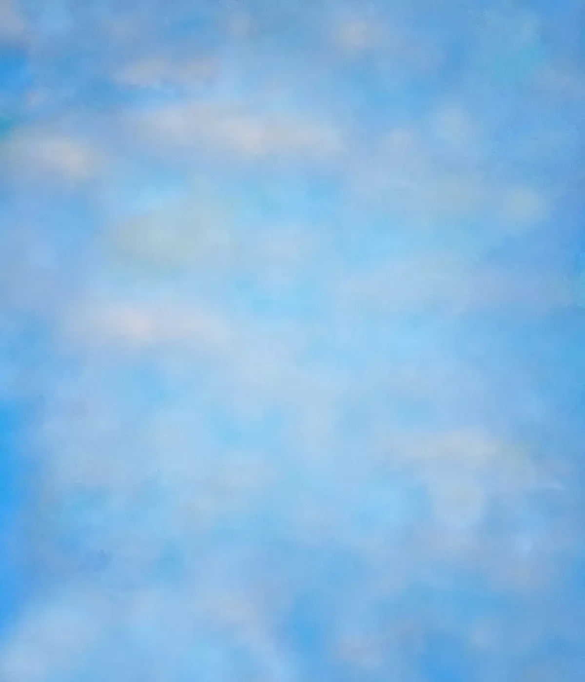Clouds In The Spring 10X12 Ultracloth ( 120 X 144 Inch ) Backdrop