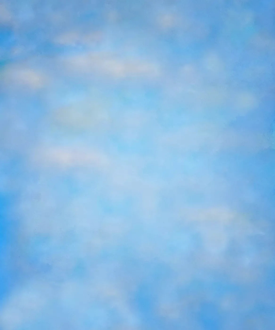 Blue Nature Backdrop for Photography