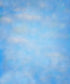Blue Nature Backdrop for Photography
