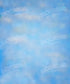Blue Nature Backdrop for Photography