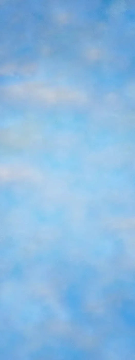 Clouds In The Spring 8X20 Ultracloth ( 96 X 240 Inch ) Backdrop