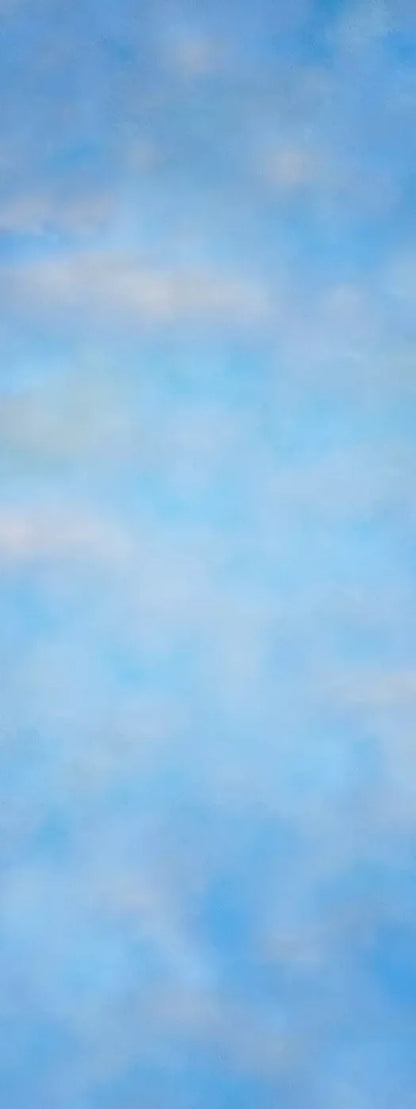 Clouds In The Spring 8X20 Ultracloth ( 96 X 240 Inch ) Backdrop