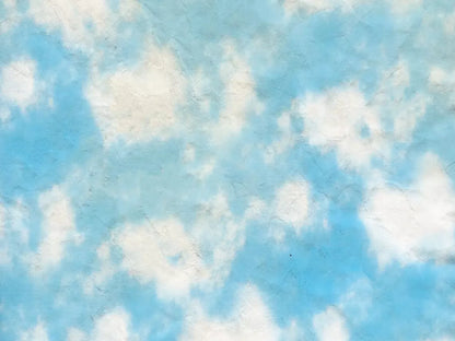 Cloudy 68X5 Fleece ( 80 X 60 Inch ) Backdrop