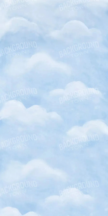 Cloudy Day 10X20 Ultracloth ( 120 X 240 Inch ) Backdrop