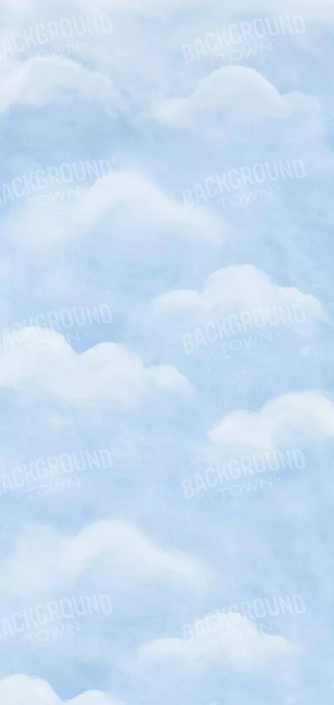 Cloudy Day 8X16 Ultracloth ( 96 X 192 Inch ) Backdrop