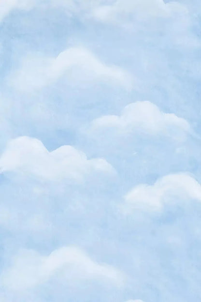 Cloudy Day 4X5 Rubbermat Floor ( 48 X 60 Inch ) Backdrop