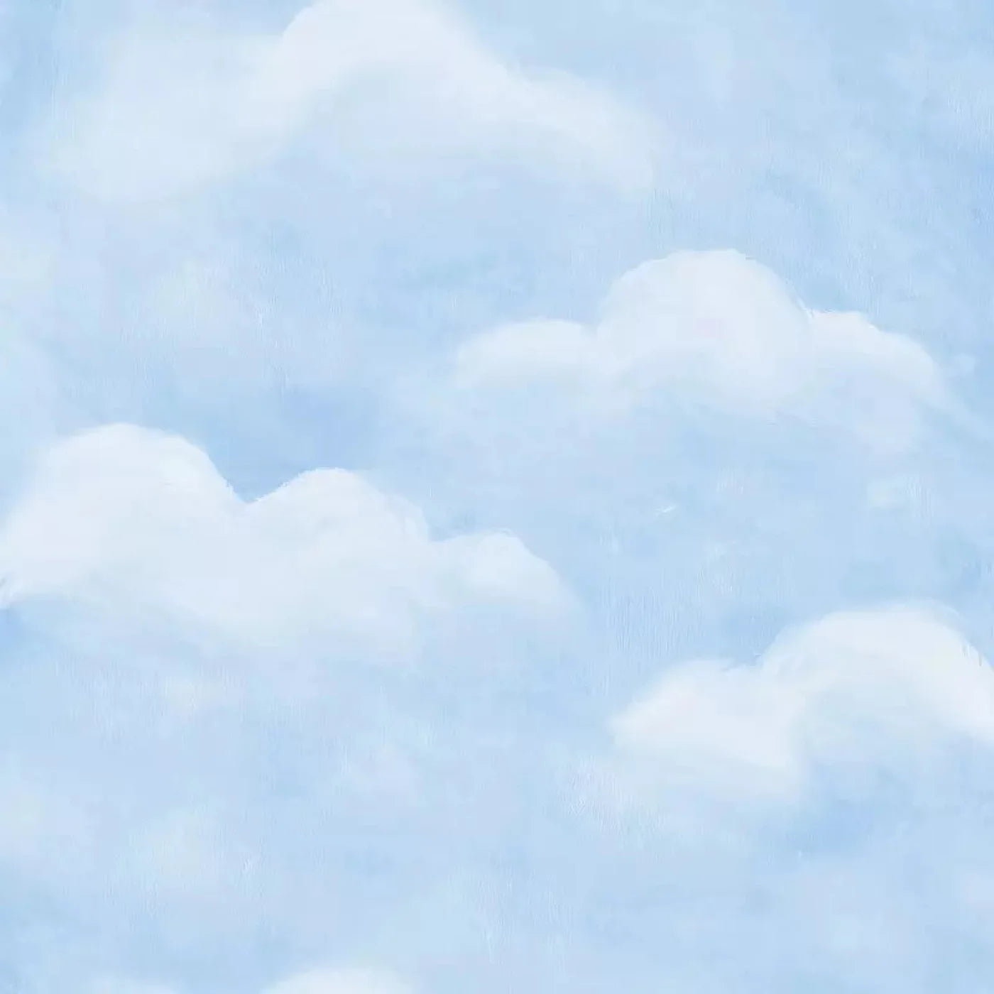Cloudy Day 5X5 Rubbermat Floor ( 60 X Inch ) Backdrop