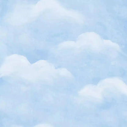 Cloudy Day 5X5 Rubbermat Floor ( 60 X Inch ) Backdrop