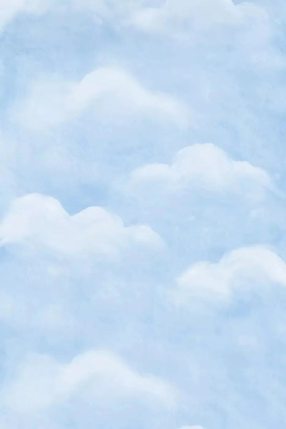 Cloudy Day Backdrop