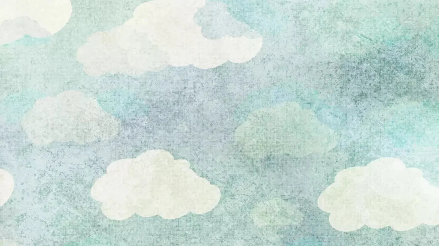 Cloudy Skies 14X8 Ultracloth ( 168 X 96 Inch ) Backdrop