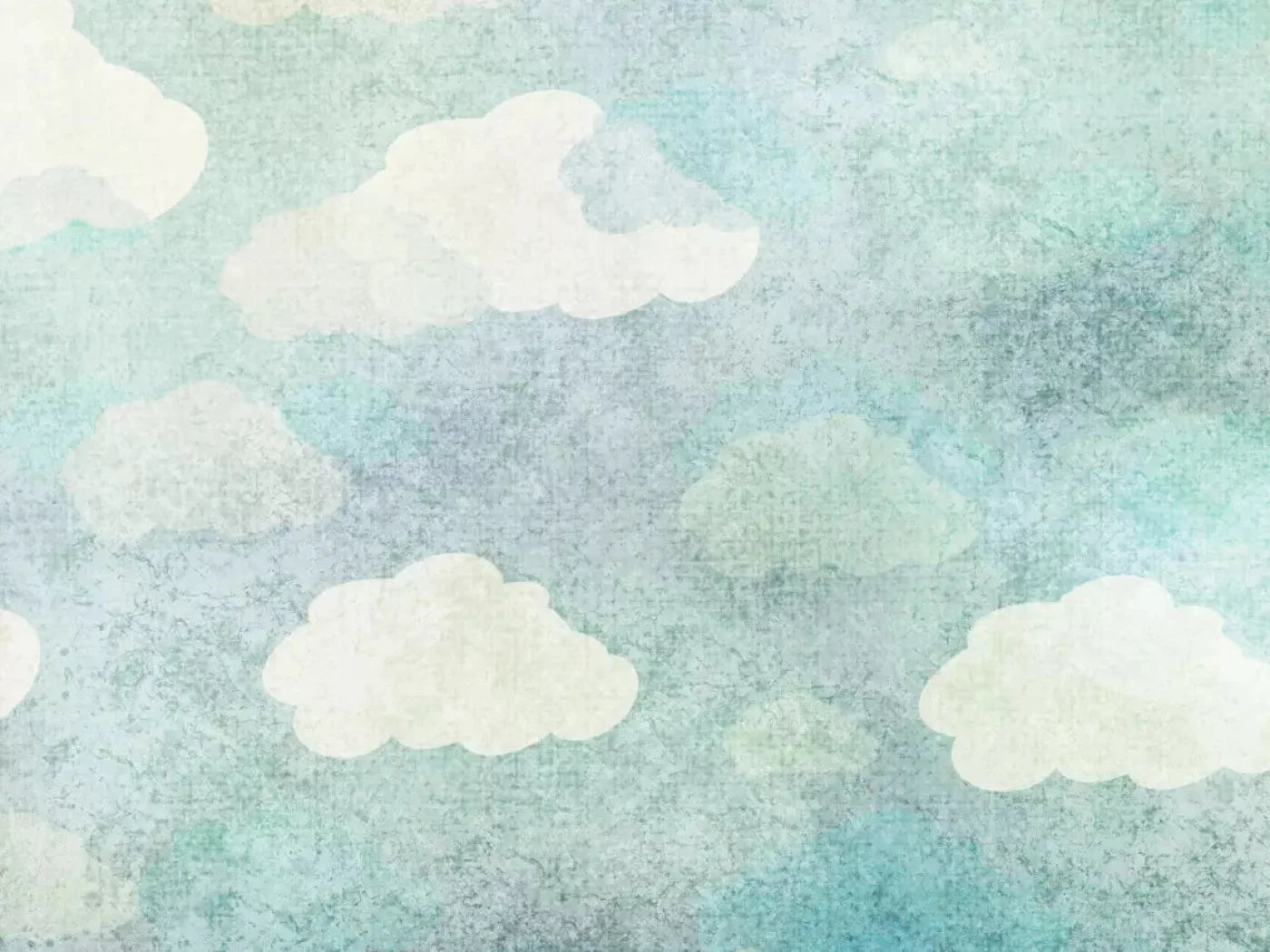 Cloudy Skies 68X5 Fleece ( 80 X 60 Inch ) Backdrop