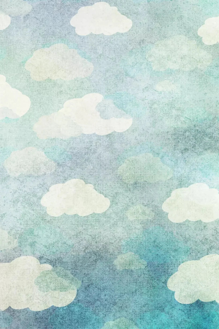Cloudy Skies Backdrop