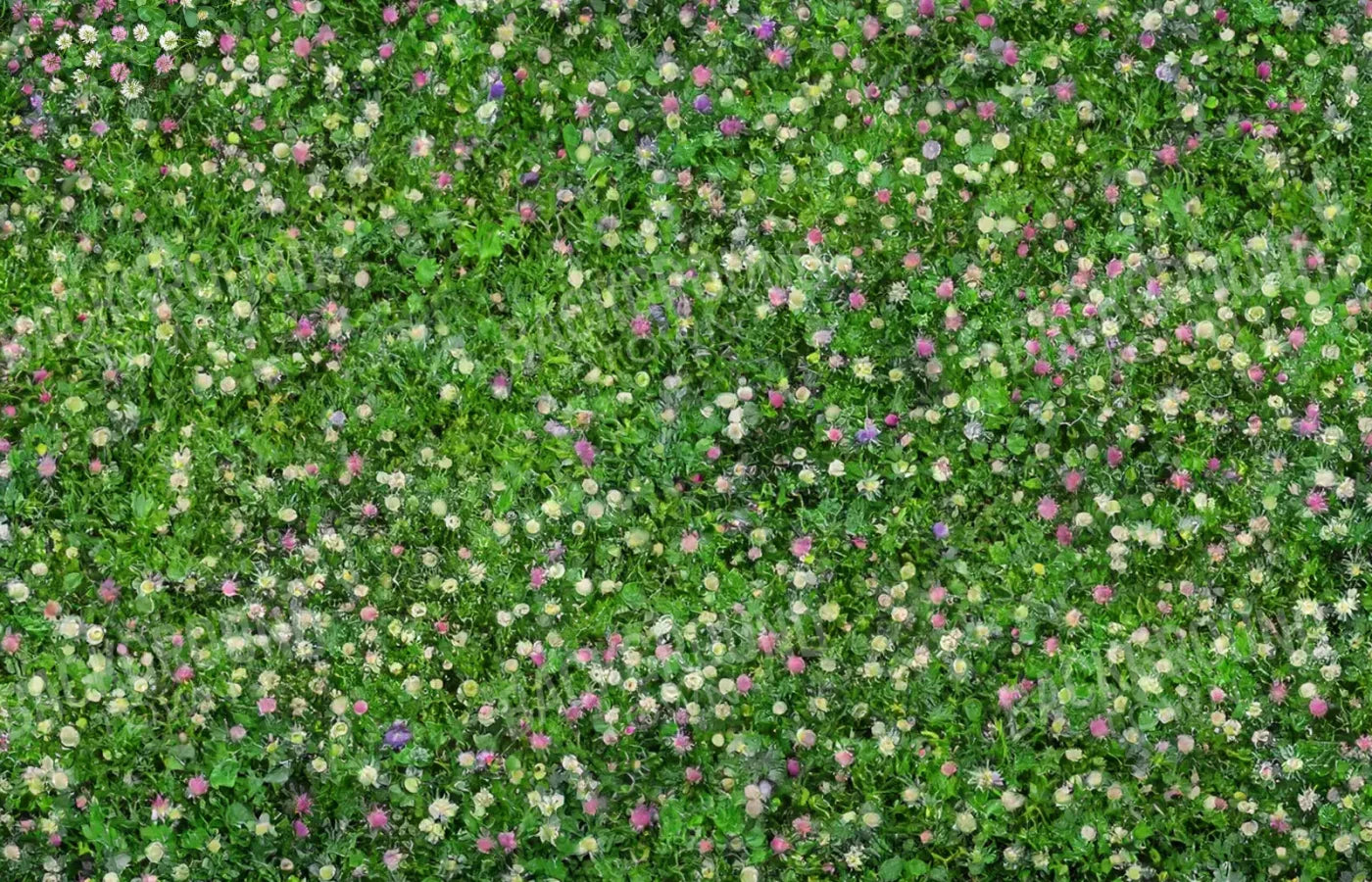 Clover Fields 14’X9’ Ultracloth (168 X 108 Inch) Backdrop