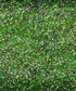 Green Clover Garden Backdrop for Photography