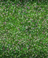Green Clover Garden Backdrop for Photography