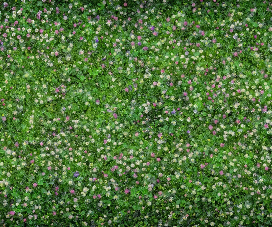 Clover Fields 5’x4’2 Fleece (60 x 50 inch) Backdrop