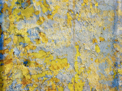 Coarion 10X8 Fleece ( 120 X 96 Inch ) Backdrop