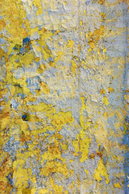 Coarion Backdrop