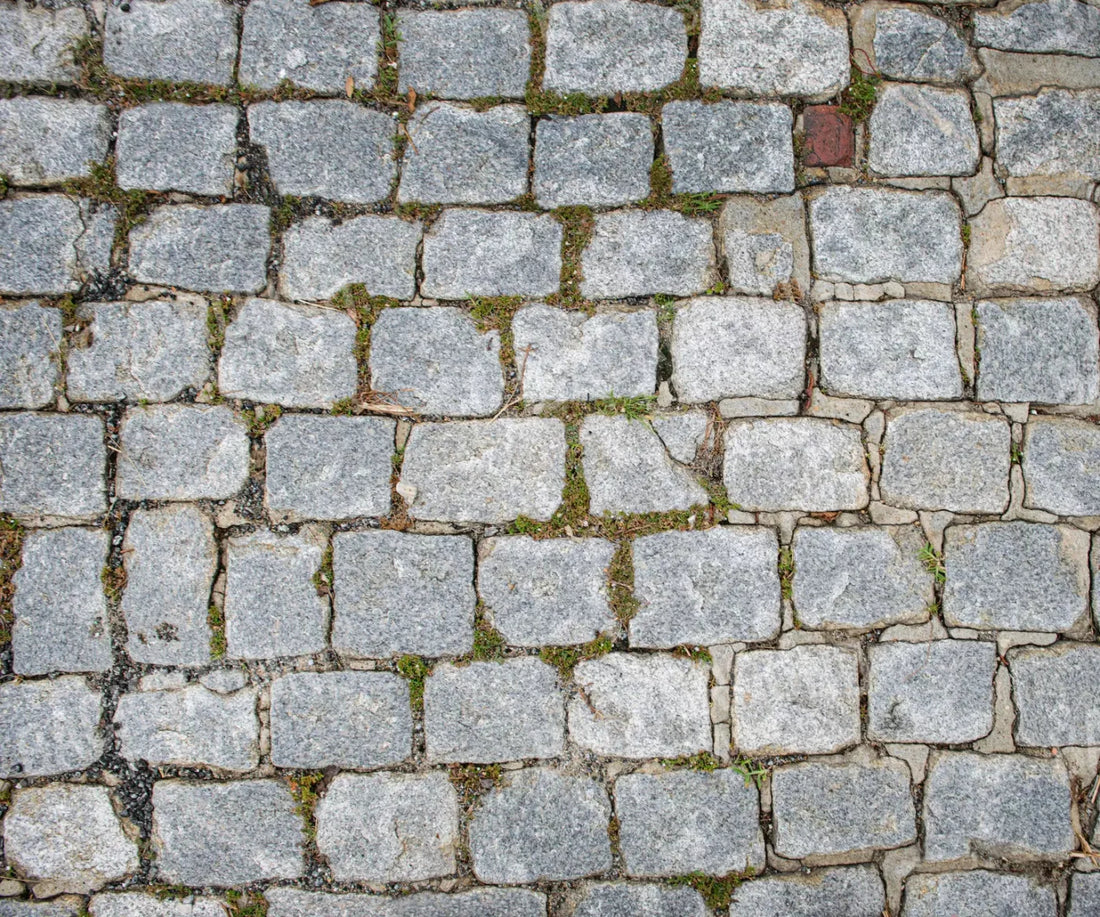 Cobblestone Path Floor 5X42 Fleece ( 60 X 50 Inch ) Backdrop