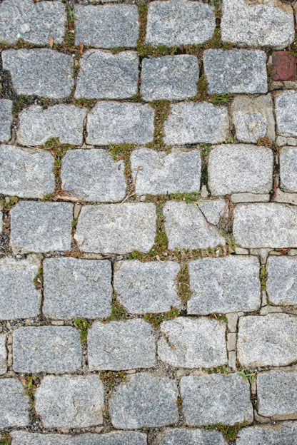 Cobblestone Path Floor 5X8 Ultracloth ( 60 X 96 Inch ) Backdrop