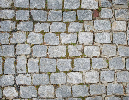 Cobblestone Path Floor 8X6 Fleece ( 96 X 72 Inch ) Backdrop